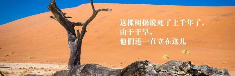 邱德辉 轻轻松松为人父母,学习,教育,健康,养成,第1张