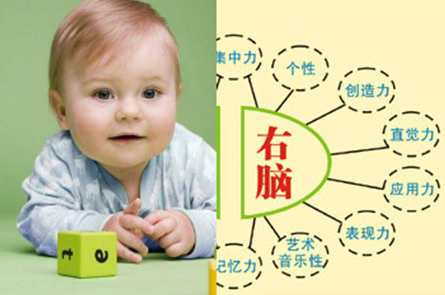 《右脑婴语》儿童智力提升全7CD+电子书,坚持,第1张