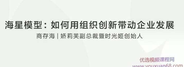 【商存海】海星模型:用组织创新带动企业发展