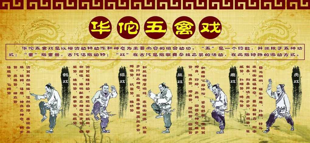 《健身气功五禽戏》光盘,健身,第1张