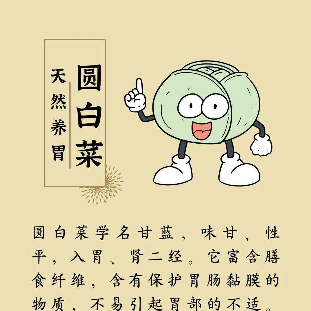 养生精髓_健康锦囊（上）共16节,健康,运动,养生,第1张