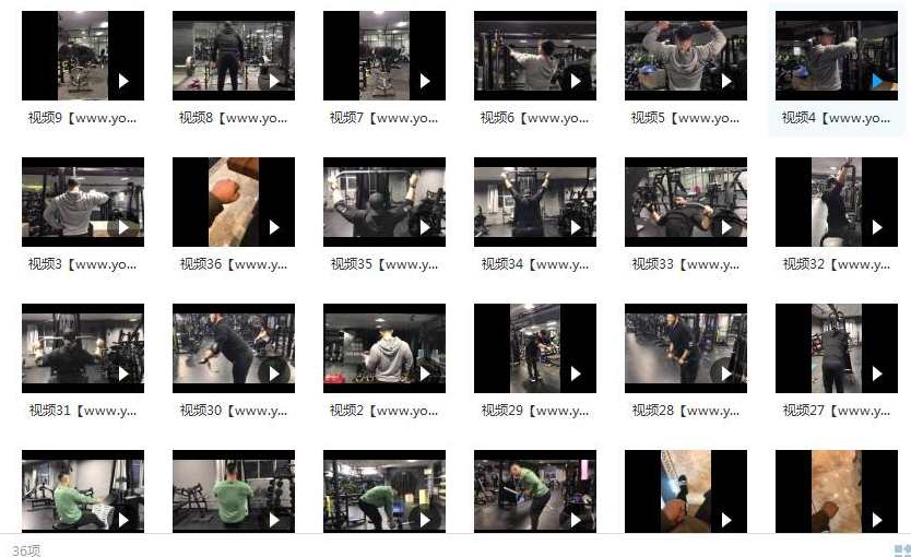 鹿神背部训练视频_健身视频教程_最全的背部训练方法,健身,第2张