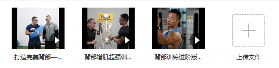 初级 背部训练 男,课程,第2张