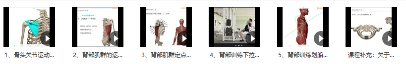 健身进阶【精准】精准背部,课程,运动,健身,第2张