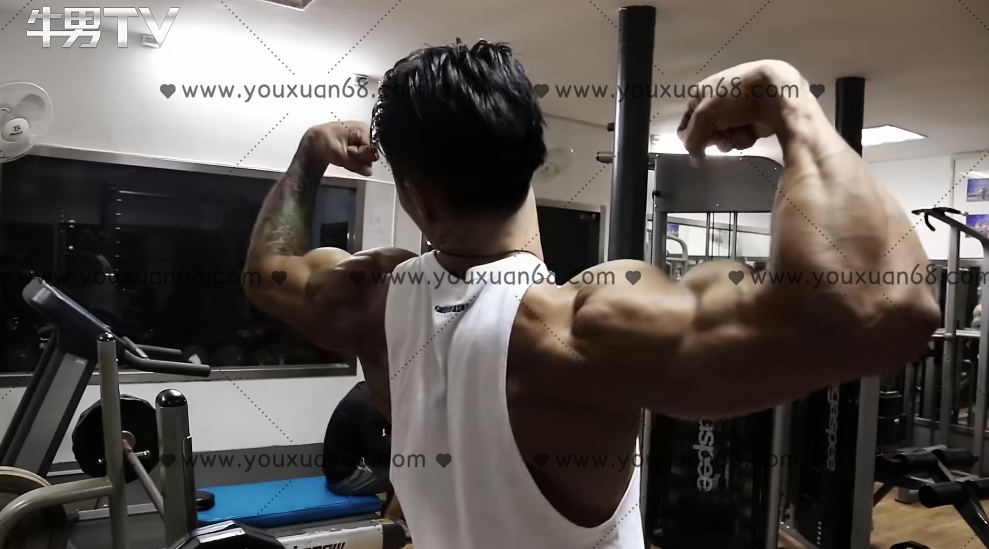 健身精华 魔兽教学,课程,运动,健身,第1张