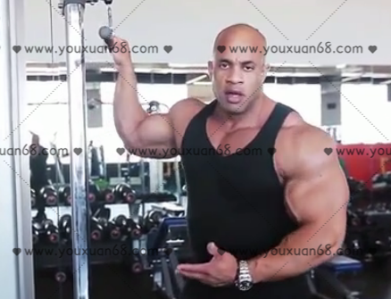 国外中字-健身训练法韦德体系,课程,理解,健身,饮食,第1张