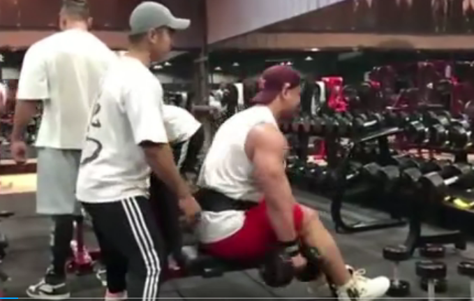 健身精华鹿晨辉系列,课程,健身,饮食,第1张