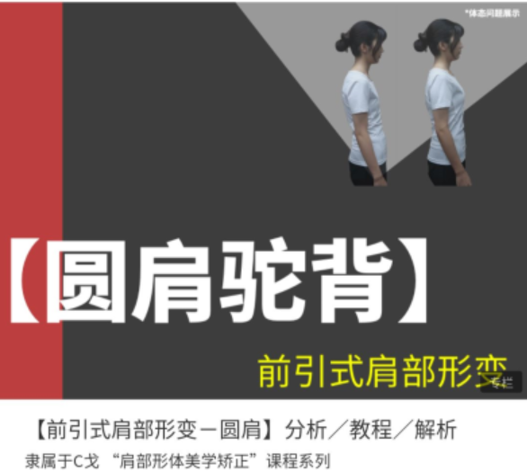 C戈完美肩部2020-2021,课程,专业,第3张