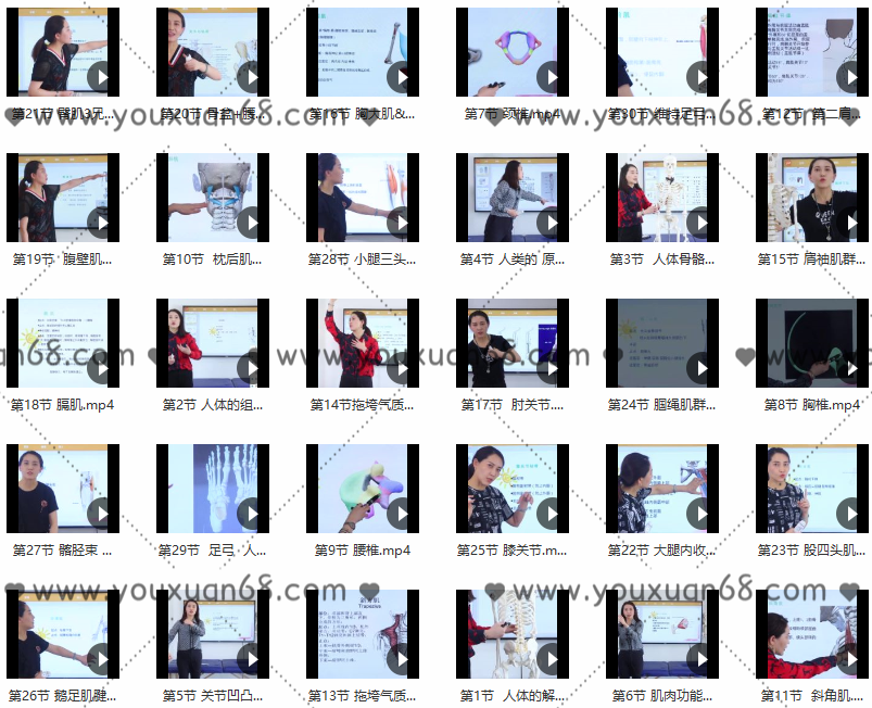 30节 必学运动功能解剖·全身篇,课程,学习,定位,运动,健康,第2张