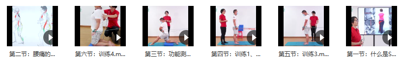 陈冬凤 sps螺旋肌肉稳定,课程,第2张 陈冬凤 sps螺旋肌肉稳定,课程,第2张