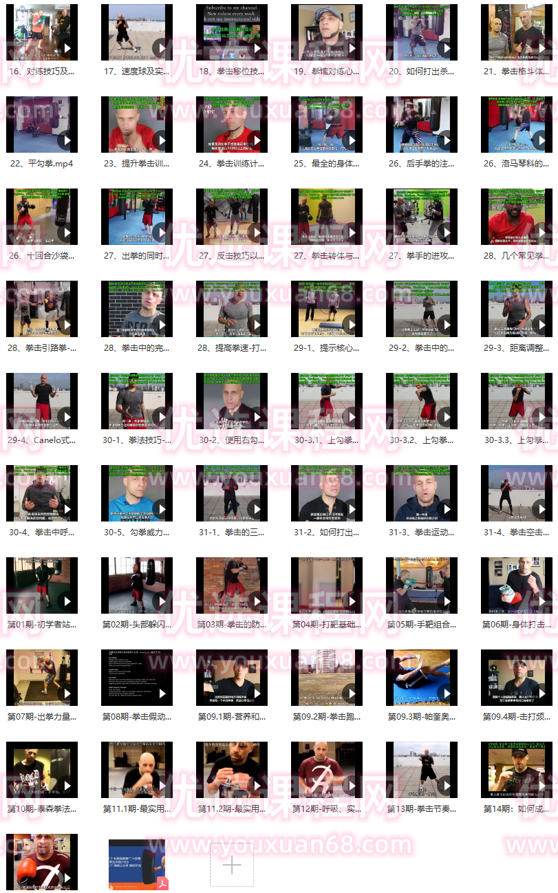 光头拳击31集全,课程,教育,运动,营养,第2张