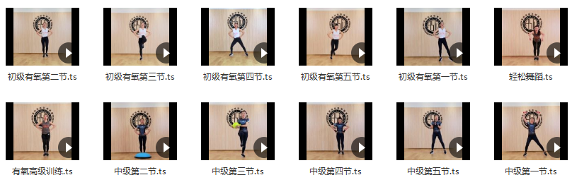 12节有氧操 孙晶团队 张丹丹dance party有氧操+小工具,课程,团队,第2张