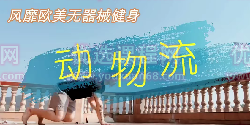 风靡欧美无器械健身，居家功能训练-【动物流】