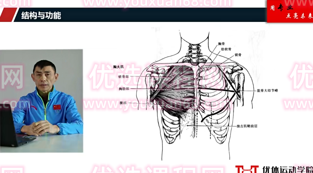 王严肩背胸特训营,课程,第1张