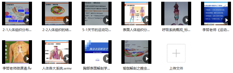 李哲老师讲人体组织和结构10集,课程,运动,瑜伽,第2张