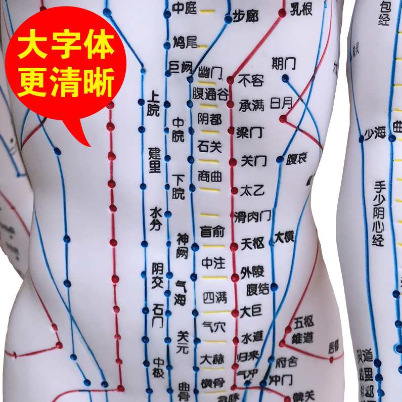 《人体穴位按摩》视频教学,健康,中医,按摩,第1张