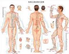 《中医针灸类图书大集合》,中医,第1张