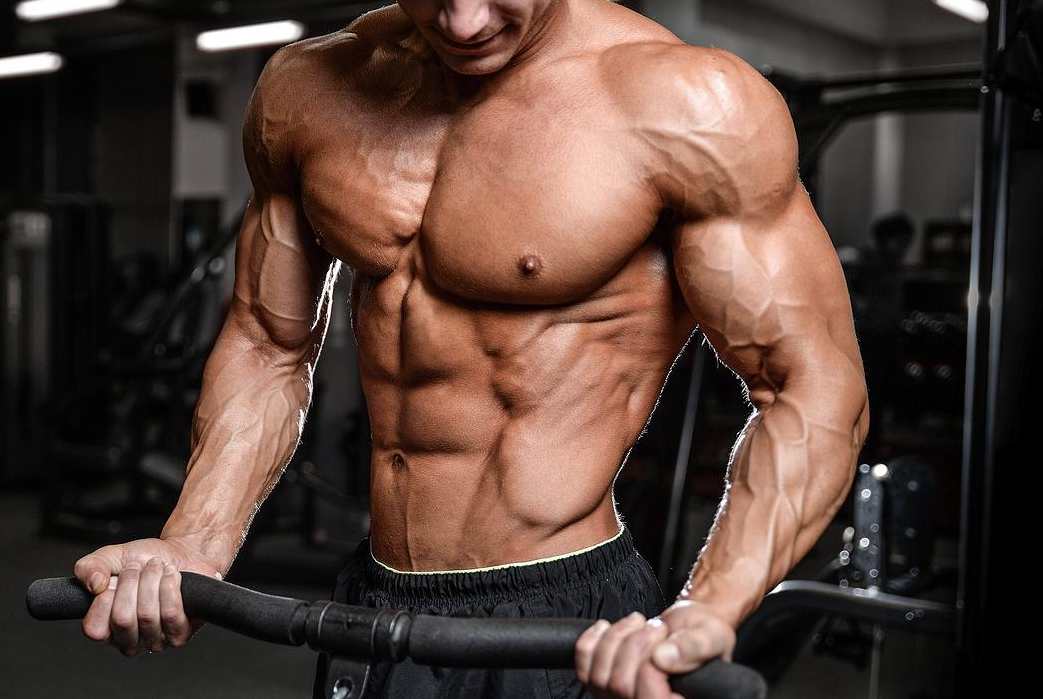 瘦子增肌 健身增肌增肥零基础到逆袭,课程,学习,理解,教育,运动,第1张