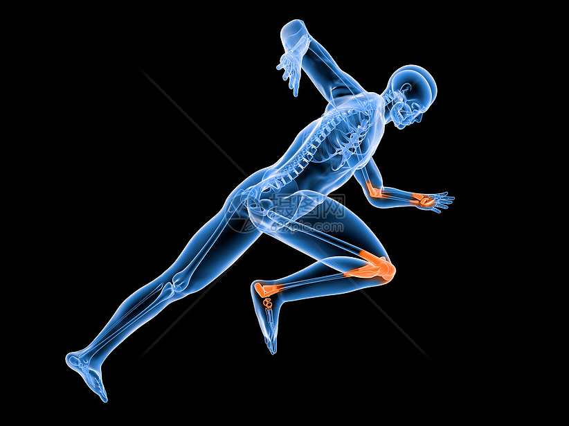 【运动骨科】给忙碌者的骨科医学课