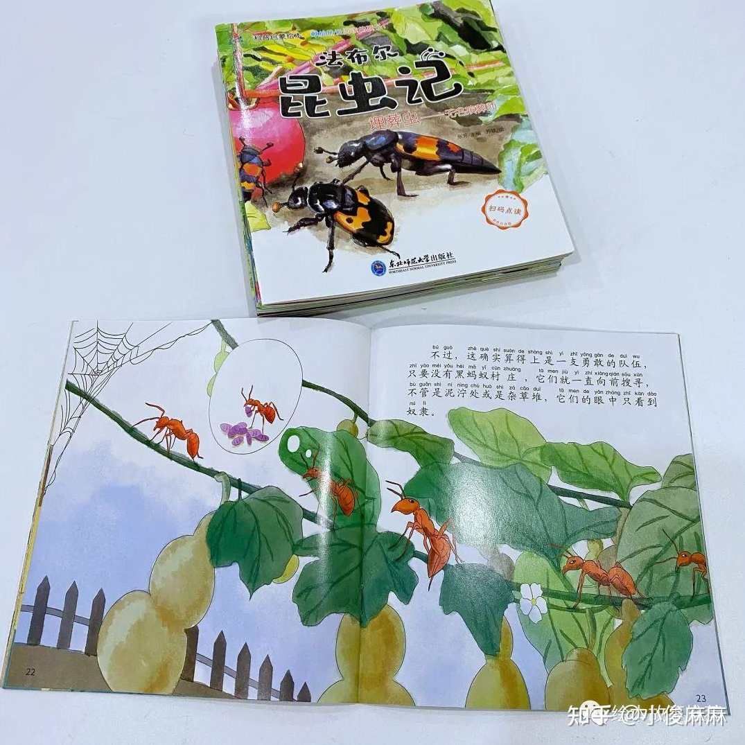 趣味故事 法布尔昆虫记（全集MP3）,课程,第1张