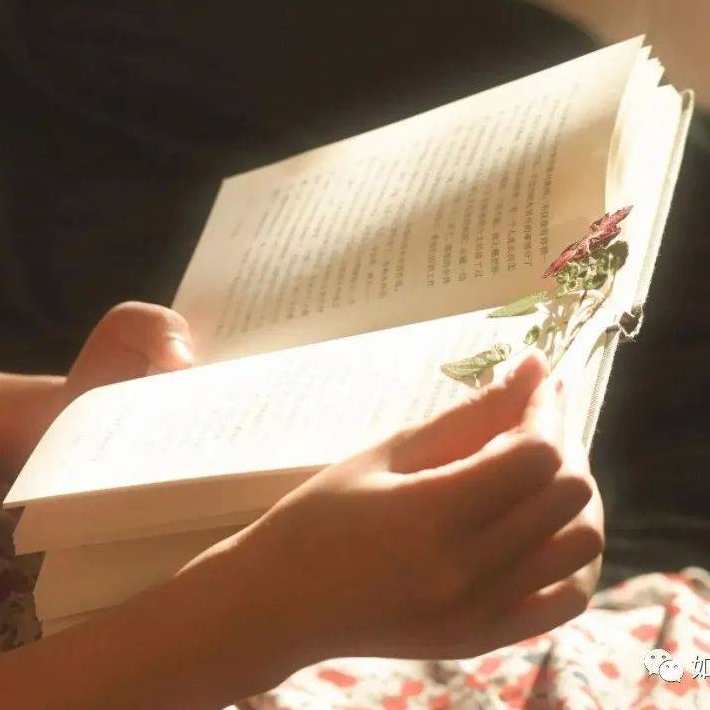 【读书】少即是多