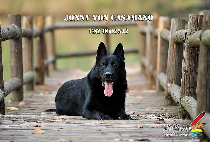 汪洱 4个小技巧让你的演讲更出色,课程,第1张