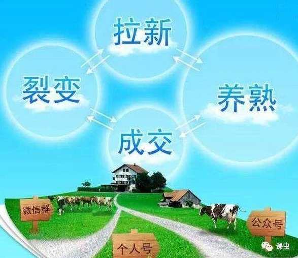 秦刚微信牧场模型理论 王通秦王会互联网项目运营顶尖文案策划（无水印）