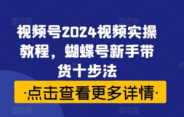 视频号2024视频实操教程，蝴蝶号新手带货十步法,课程,直播,定位,脚本,第1张