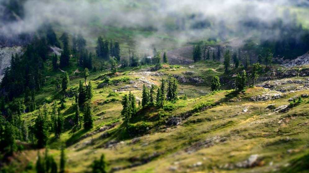 心灵面具 101种心理防御,发展,教育,支持,合作,健康,第1张