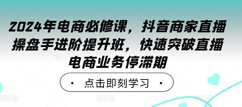 2024年电商必修课，抖音商家直播操盘手进阶提升班，快速突破直播电商业务停滞期