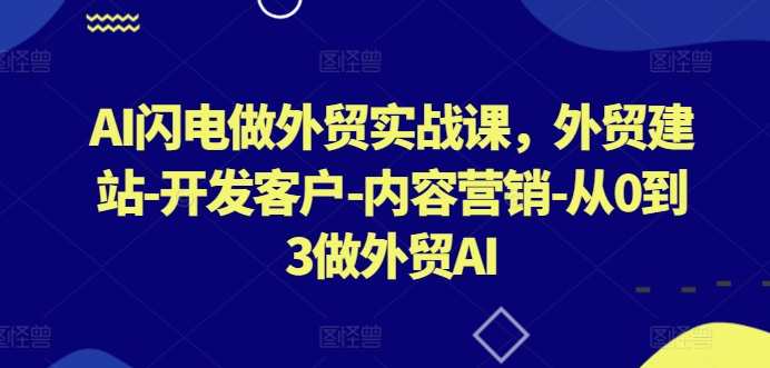 AI闪电做外贸实战课，​外贸建站-开发客户-内容营销-从0到3做外贸AI（更新）,课程,学习,目标,定位,竞争,人工智能,服务器,SEO,外贸,内容营销,第1张