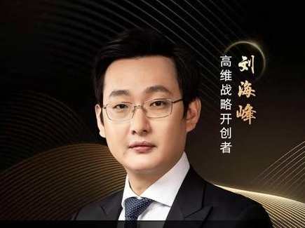 刘海峰 高维战略——增长篇（10节）,课程,学习,发展,第1张