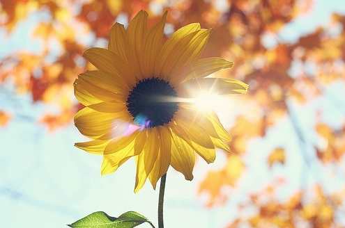 周运清 修养阳光心态 经营健康生活,发展,理解,教育,沟通,成长,第1张