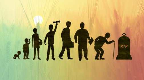 发展心理學：哲學觀與方法論,课程,发展,理解,成长,第1张