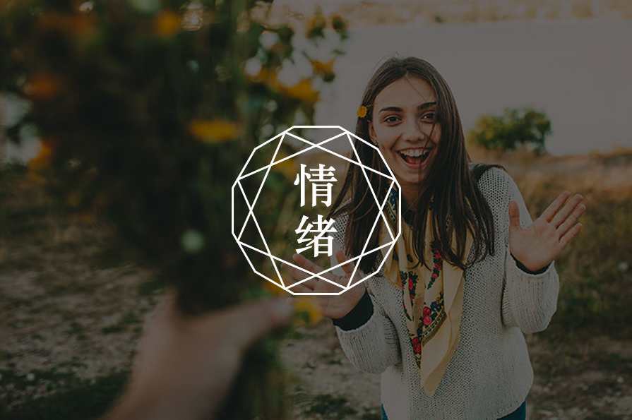 情绪的心理学密码 如何度过创业路上的至暗时刻