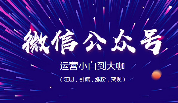微信公众号运营小白到大咖（注册，引流，涨粉，变现）,课程,微信,定位,网盘,支付,第1张