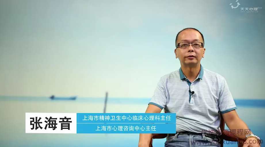 跟张海音学客体关系治疗 网络课程10讲高清视频,课程,学习,发展,专业,理解,第2张