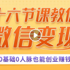 十六节课教你零基础微信变现，用单品打爆市场，0基础0人脉创业赚钱,微信,朋友圈文案,第1张