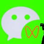 黄岛主：微信视频号带货变现大解析,课程,微信,第1张