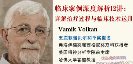精神分析泰斗Vamik 临床案例深度解析12讲:【视频+音频+文献+文字稿】,课程,发展,专业,第1张