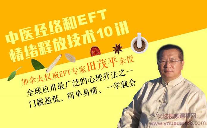 田茂平：中医经络理论和EFT情绪释放技术10讲,课程,管理,发展,专业,中医,第1张