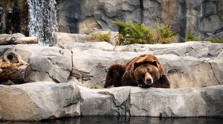 如何做一个高效的电商运营负责人 赠送PPT