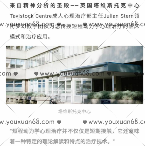 塔维斯托克短程动力学治疗十二讲网络课程 全套资料,课程,团队,合作,适应,第1张