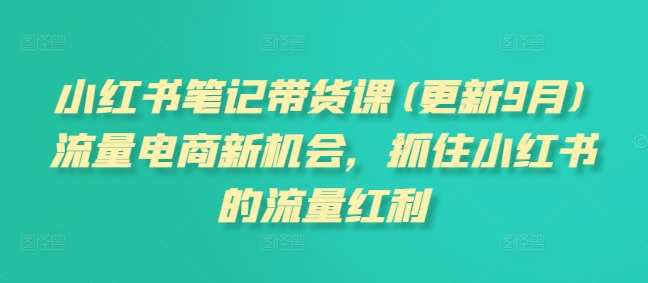小红书笔记带货课(更新9月)流量电商新机会，抓住小红书的流量红利,课程,学习,管理,专业,直播,理解,目标,定位,团队,模板,第1张