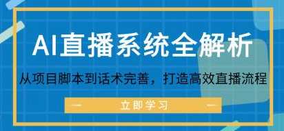 《AI直播系统全解析》从项目脚本到话术完善，打造高效直播流程