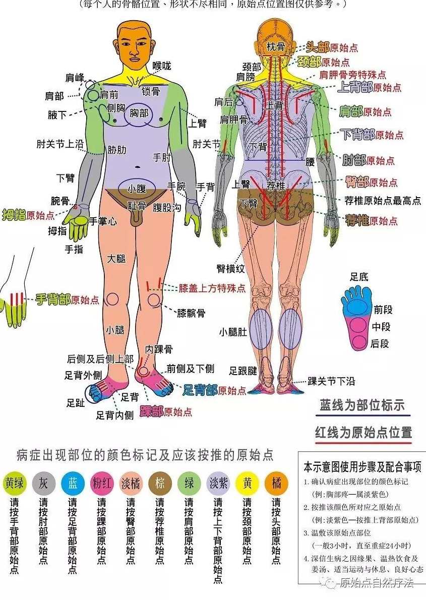 张剑汉疼痛原始点疗法下载全36集,健康,第1张 张剑汉疼痛原始点疗法下载全36集,健康,第1张