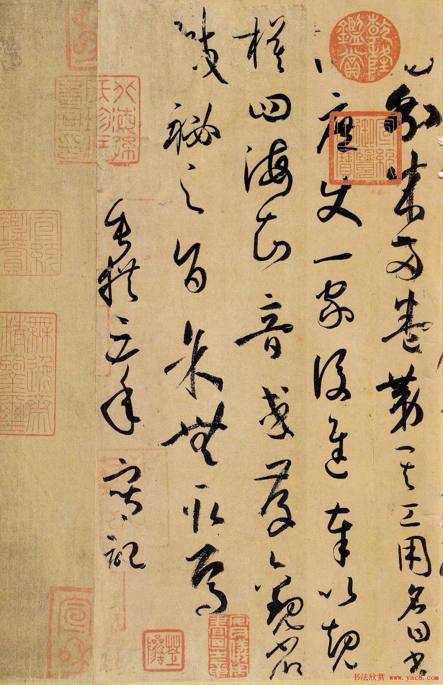 孙晓生 穿越时珍本草王国,中医,第1张