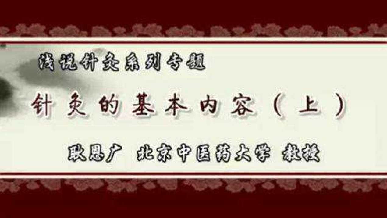 耿恩广 浅说针灸系列专题全49集,办公,中医,第1张