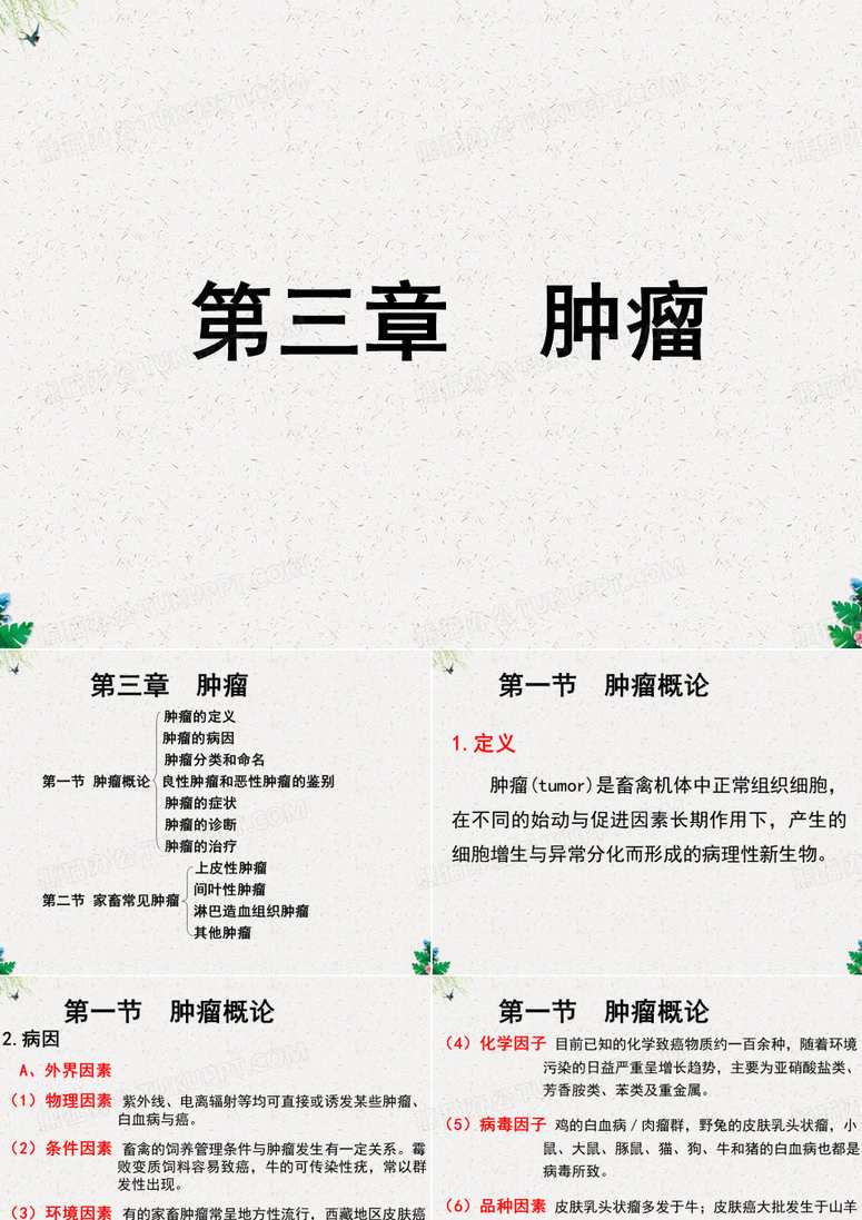 陈铁桥 兽医外科学全37集