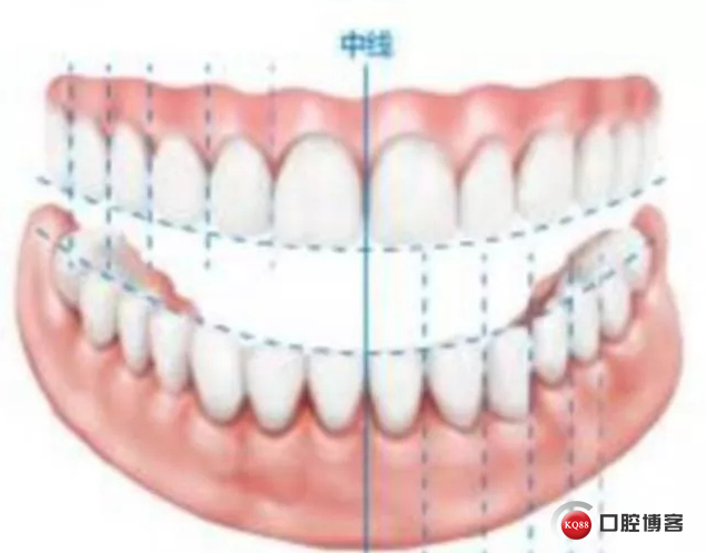 郝南 牙齿的力与美,课程,理解,健康,第1张